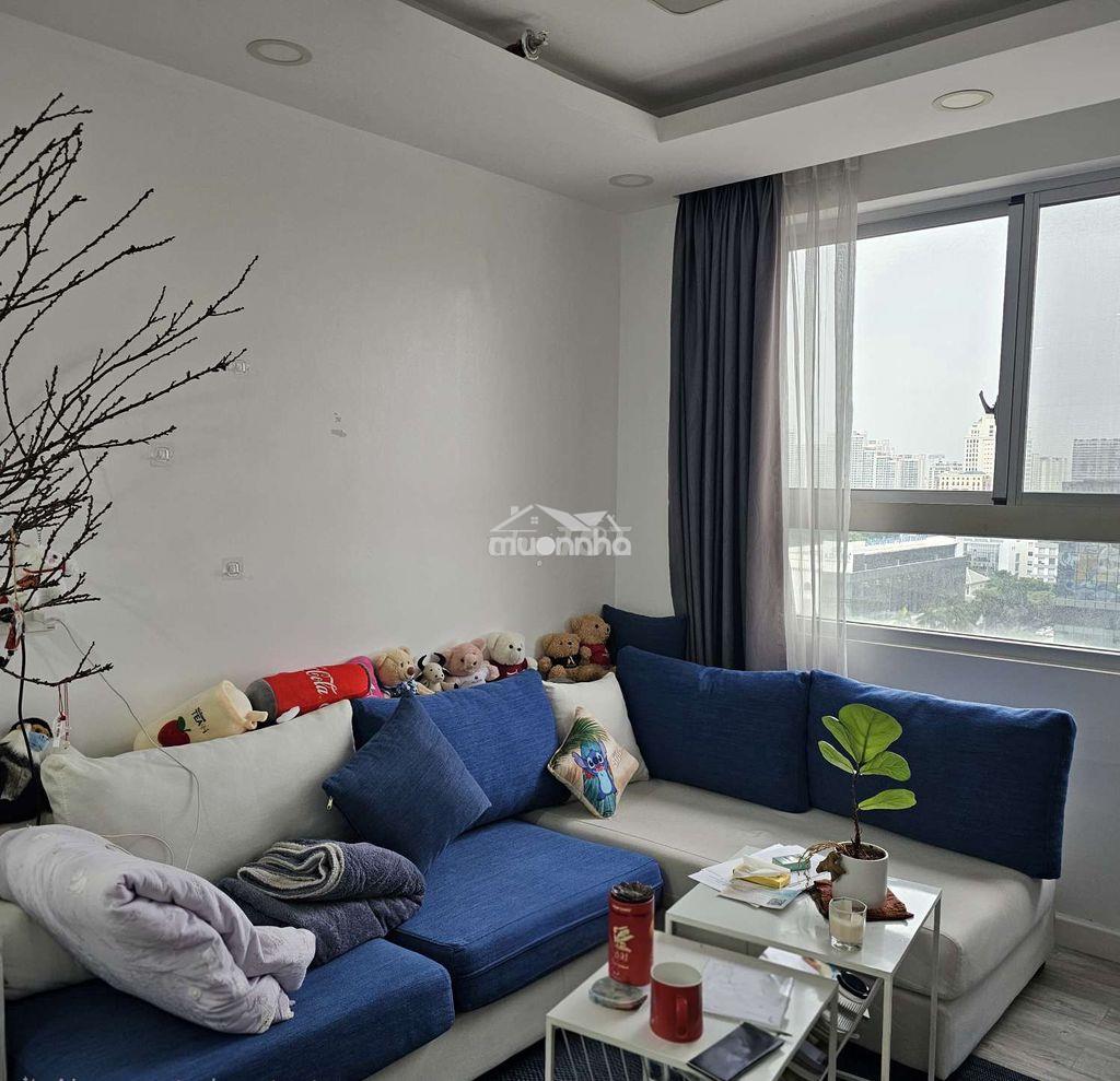 Cho thuê căn hộ phú mỹ hưng, quận 7, kế bệnh viện pháp việt - Ảnh 3
