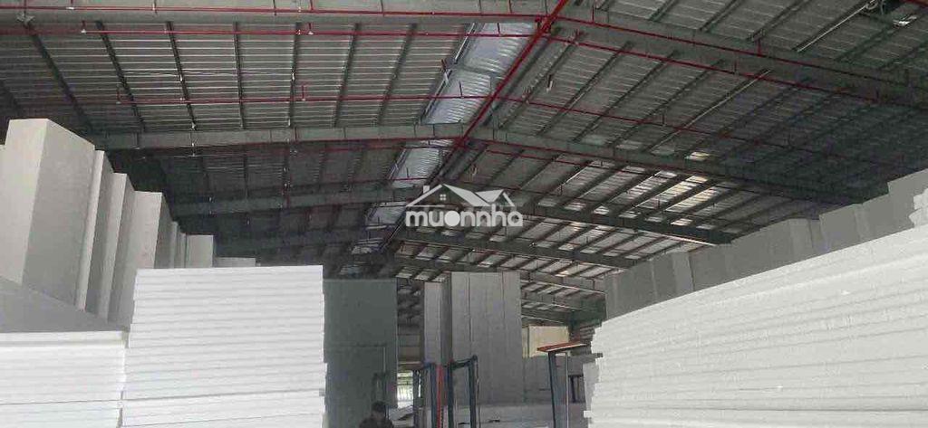 Cho thuê xưởng 1700m gần kcn nam tân uyên - Ảnh 3