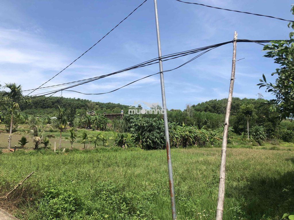 Bán đất vườn - 3