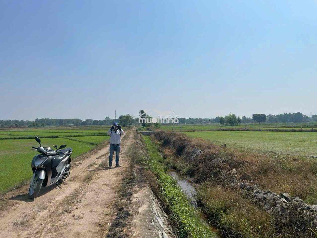 Ngộp ngân hàng xả rẽ - 3
