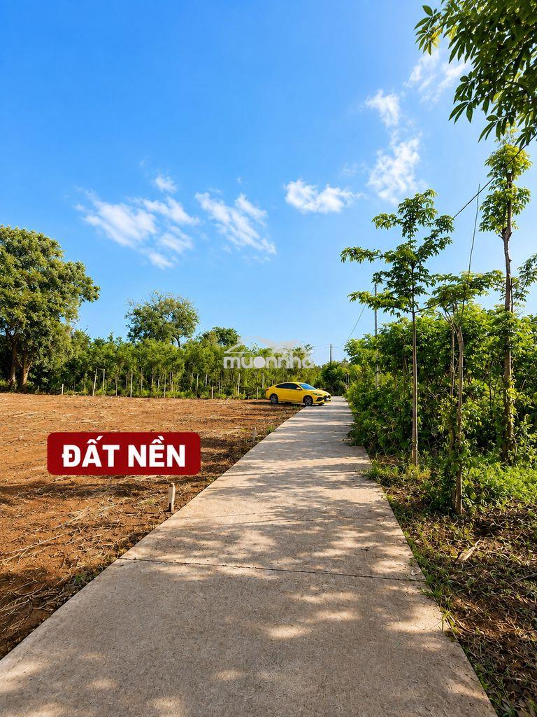 Đất thổ cư ngang 5,5 - 80m² tc - giá 350 triệu - Ảnh 4