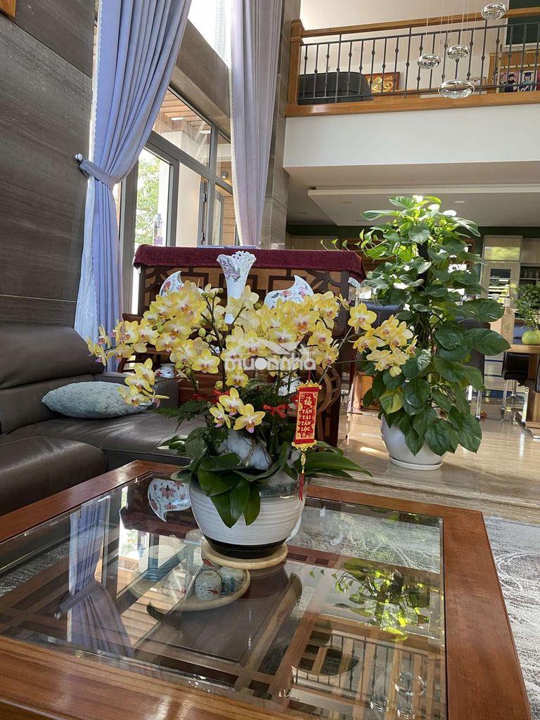 Bán biệt thự sân vườn tại villa park, 342m2, view đẹp, q9, hcm - 4