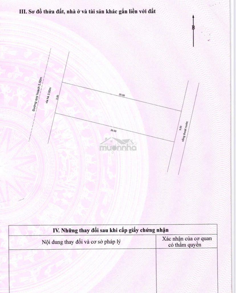💥Bán gấp đất mặt tiền gần ngã 3 âu cơ và lạc long quân, 100m2 sạch đẹp - Ảnh 2