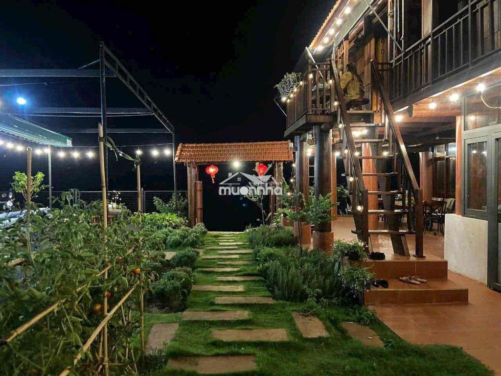 Homestay view đồi hoàng hôn cuối nguyễn hữu thấu 17x20m giá 7,9 tỷ - Ảnh 2