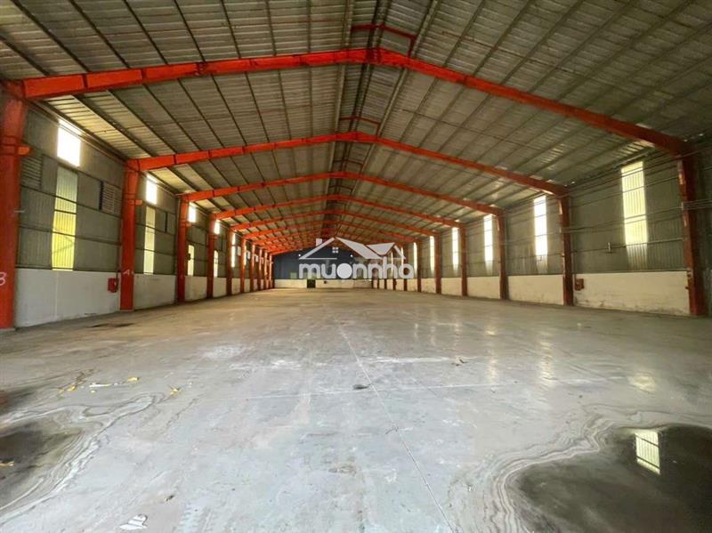 Cho thuê xưởng chánh phú hòa bến cát
