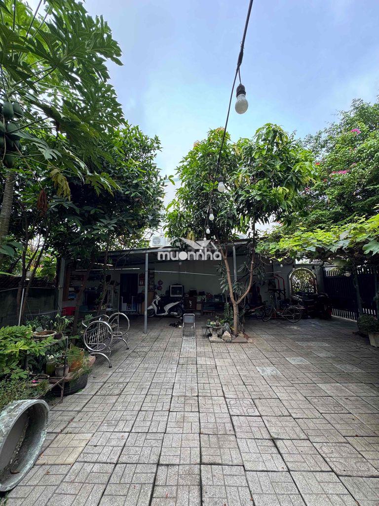 Cần bán nhà - Ảnh 3