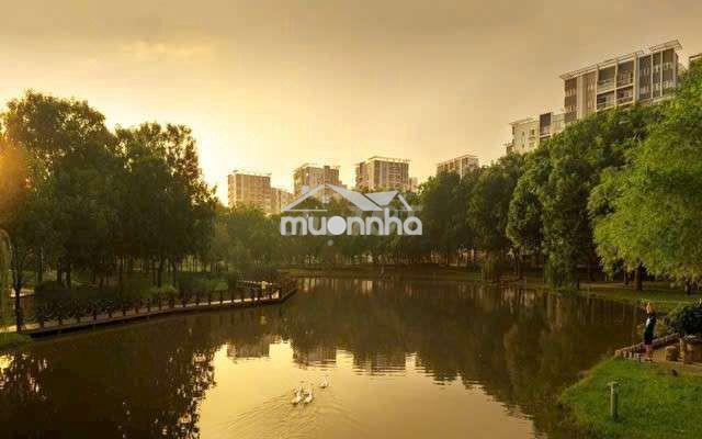 Cho thuê 1pn celadon city tân phú, nhà trống ở ngay - Ảnh 3