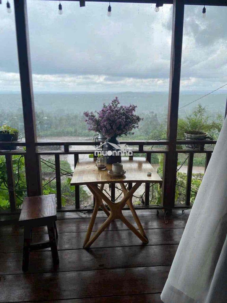 Homestay view đồi hoàng hôn cuối nguyễn hữu thấu 17x20m giá 7,9 tỷ - Ảnh 3