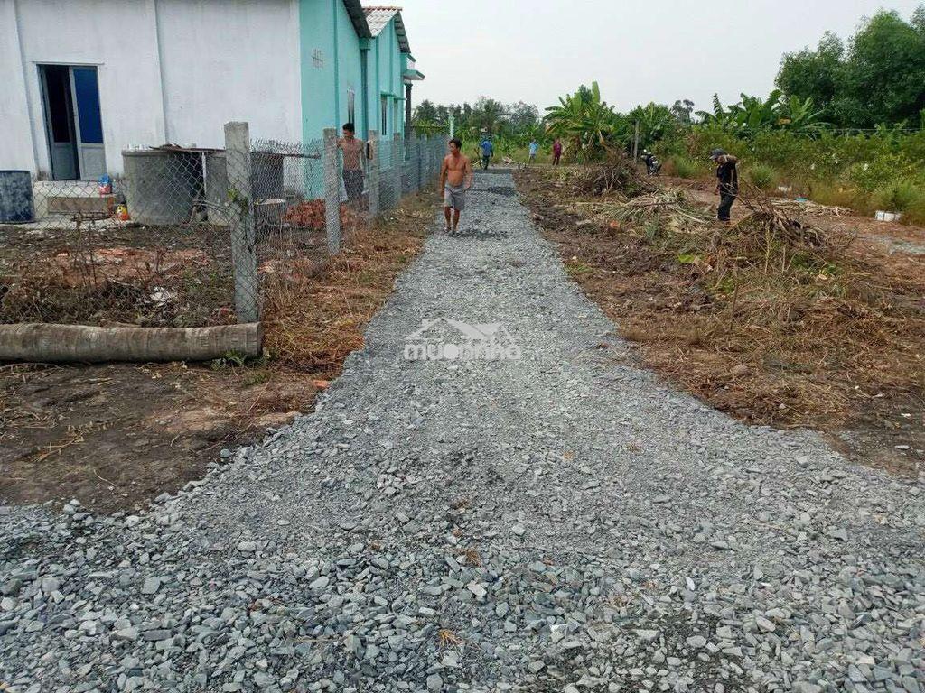 Đât vườn thạnh hoà, bến lức - Ảnh 2