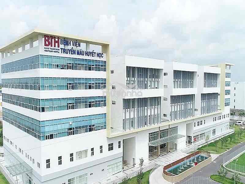 Đất vườn giá tốt-ngay bv nhi đồng thành phố - Ảnh 3