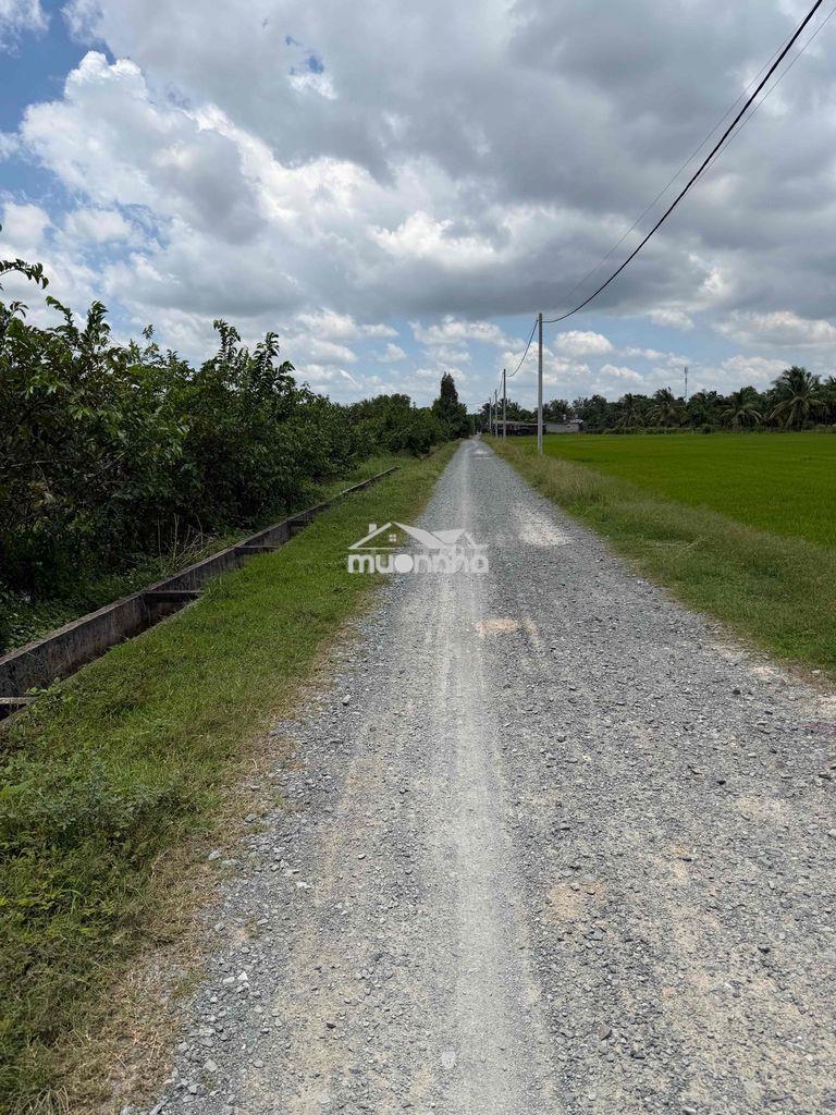 Đất đẹp củ chi (chính chủ)