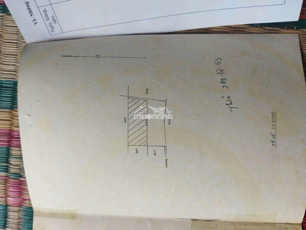 Bán đất nông nghiệp 3000m xã tân nhựt - 2