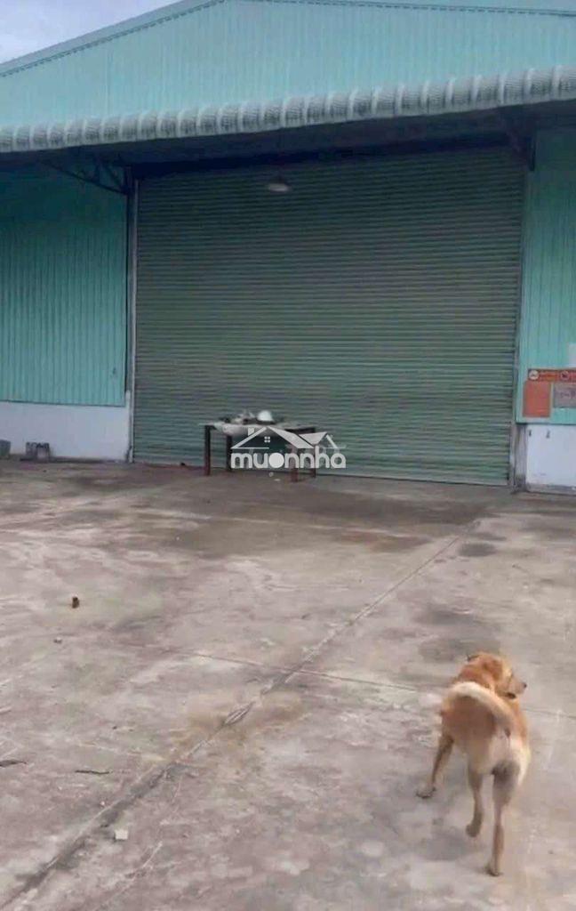 Cho thuê xưởng bình chuẩn _ thuận an giá rẻ nhất thị trường - Ảnh 2