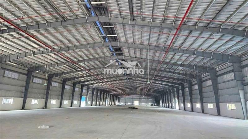 Cần cho thuê nhà xưởng gần vsip 1. dt: 2000m giá: 130tr có xuất vat