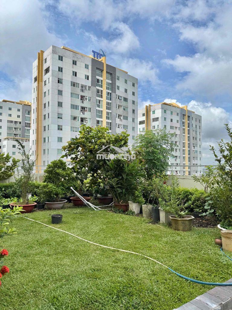 🔥Cho thuê ch belleza q7✅80m2,2pn,2wc+căn góc, nội thất, sân vườn chung - Ảnh 3
