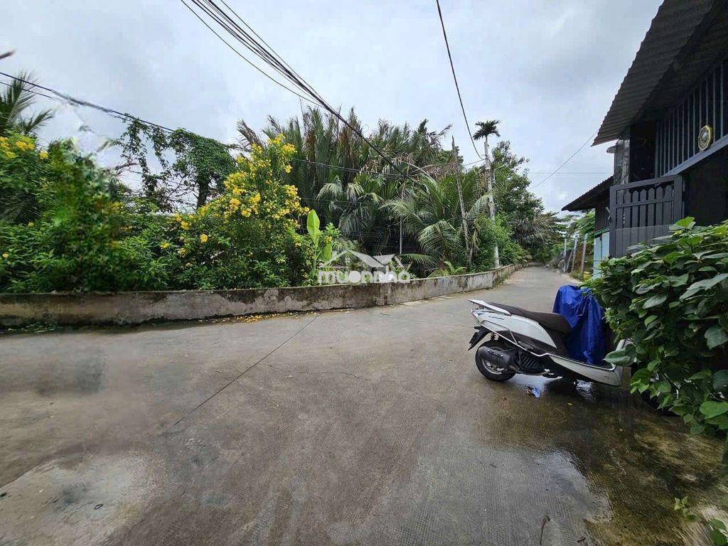 Hẻm 182 hiệp bình - Ảnh 2