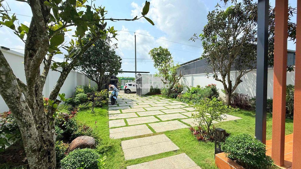 Nhà vườn nghỉ dưỡng cực đẹp view cánh đồng lúa - Ảnh 2