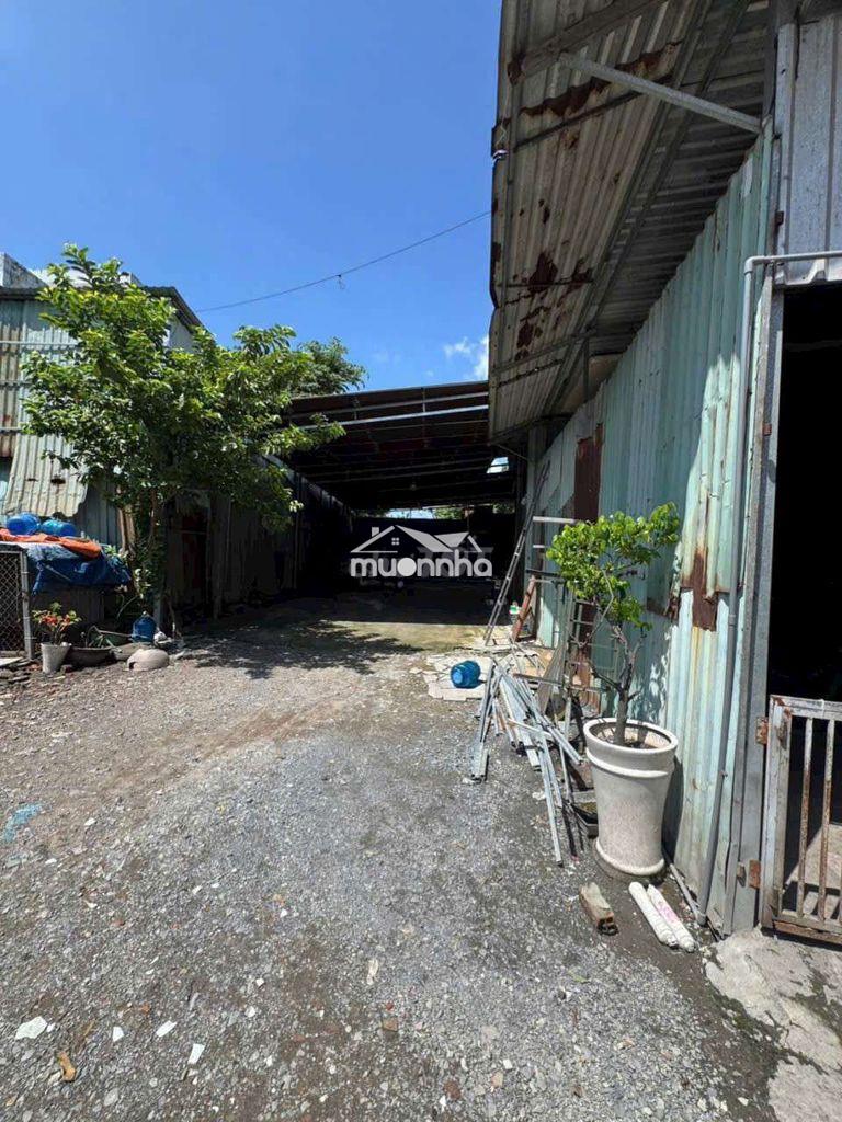 Kho thuê 6*20 cao ráo đường kênh trung ương vĩnh lộc b bình chánh tphc - Ảnh 4