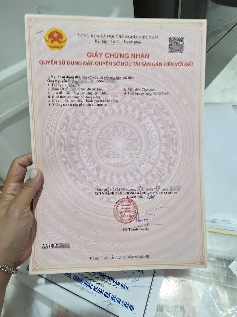 Bán đất trồng cây hàng năm (hoa màu) - cận lộ, giá tốt - Ảnh 2