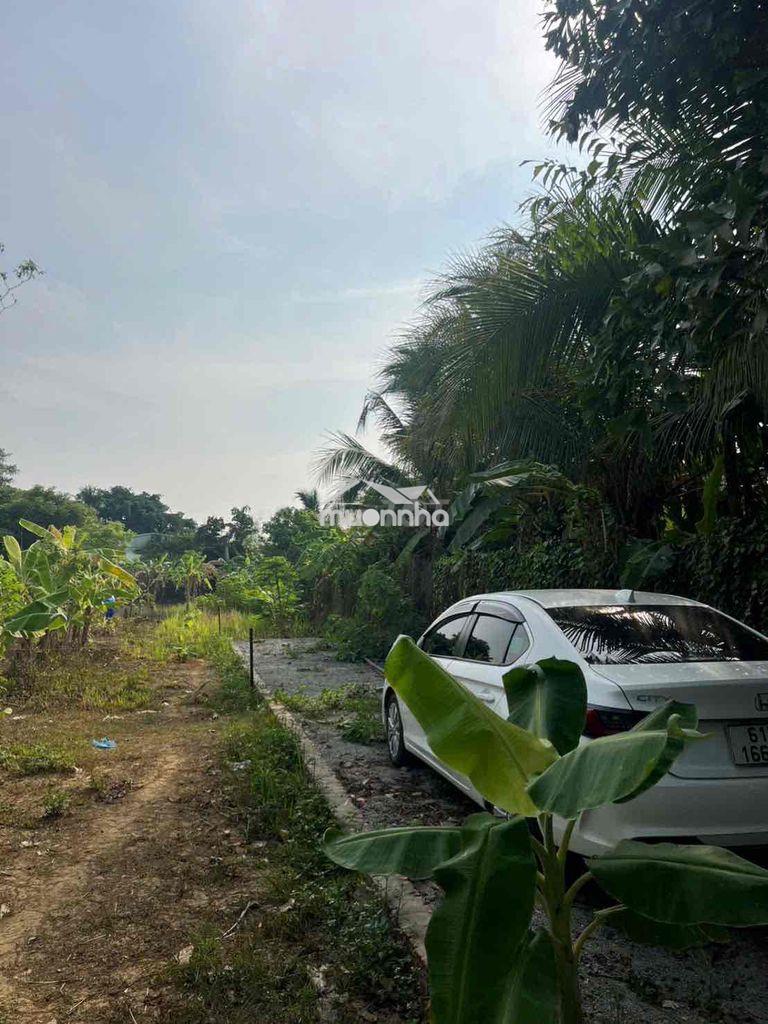 Đất view sông - Ảnh 3