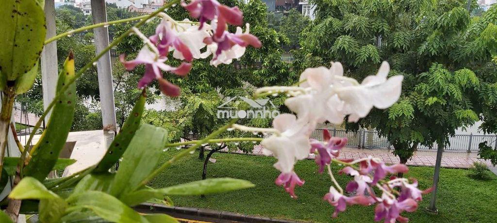 Cần bán gấp nhà - Ảnh 3
