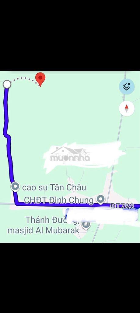 Đất nông nghiệp trồng cây lâu năm phân lô - 2