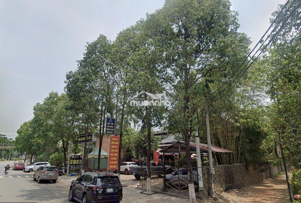 Bán góc 2mt quán cafe tthc phú giáo bình dương 1200m2 thổ cư giá 20 tỷ - 2
