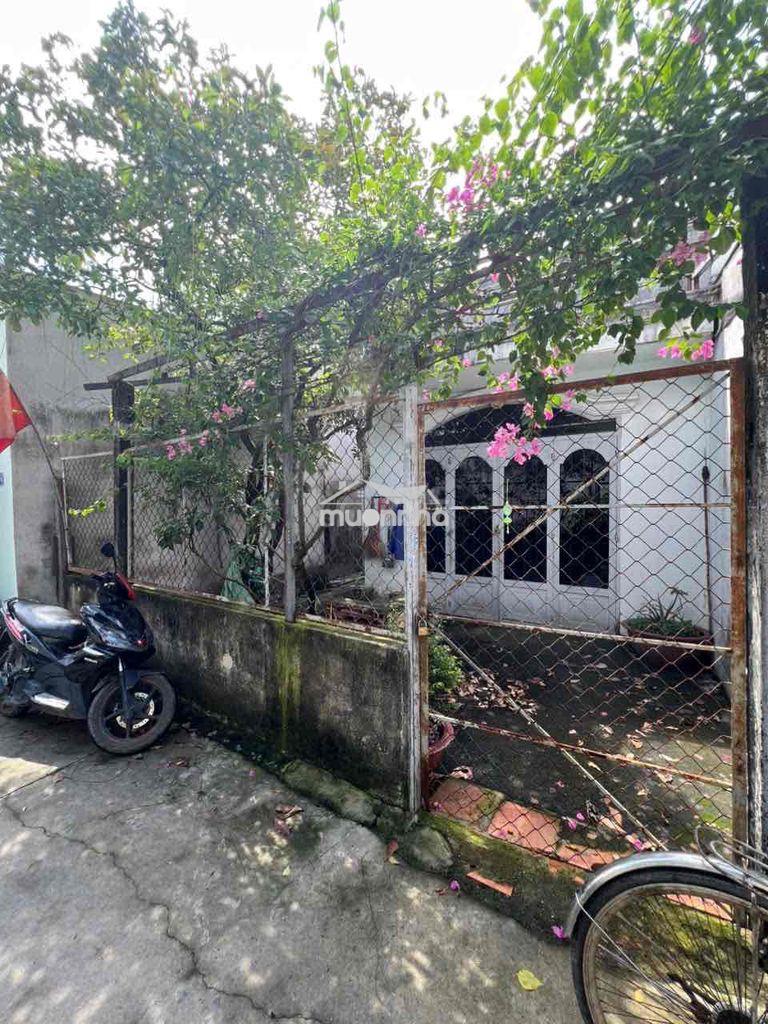 🔥Cg căn nhà cấp 4 - giáp mt đỗ văn dậy hocmon, dt 95m2 (5*19) , 4,1 tỷ - Ảnh 3