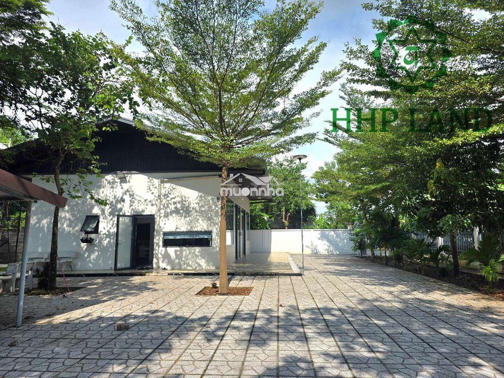 Cho thuê nhà sân vườn 800m2 full nội thất gần kdc phúc hải, tỉnh đội - Ảnh 2