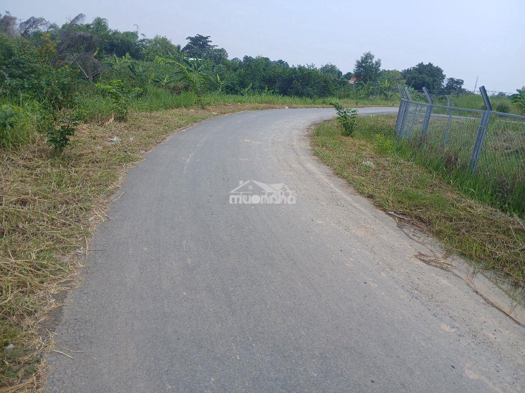 Bán 5000m2 đất nông nghiệp xã hưng long (đa phước) - Ảnh 2