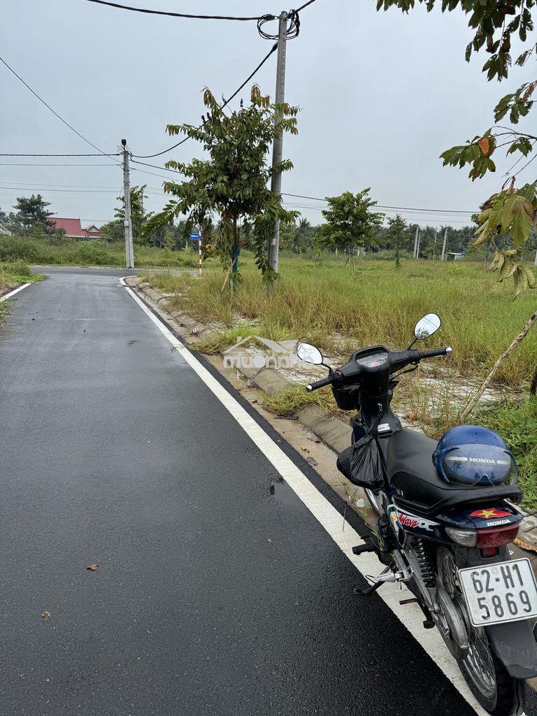 Bán đất nền chính chủ - Ảnh 2