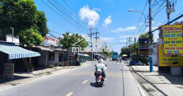 Đất củ chi mặt tiền 100m - 850 triệu full thổ. - 3