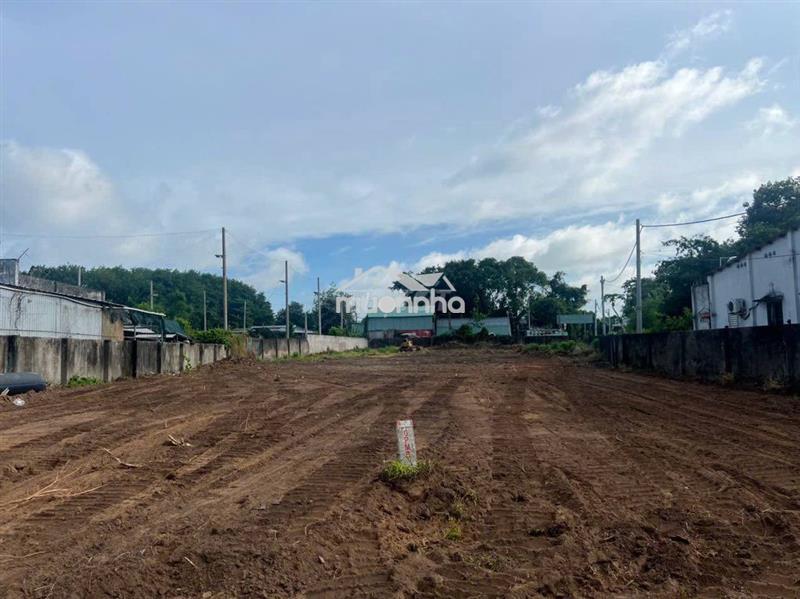 Siêu phẩm 2 mt tl8 - tọa độ vàng đón đầu metro số 2 và cao tốc mộc bài