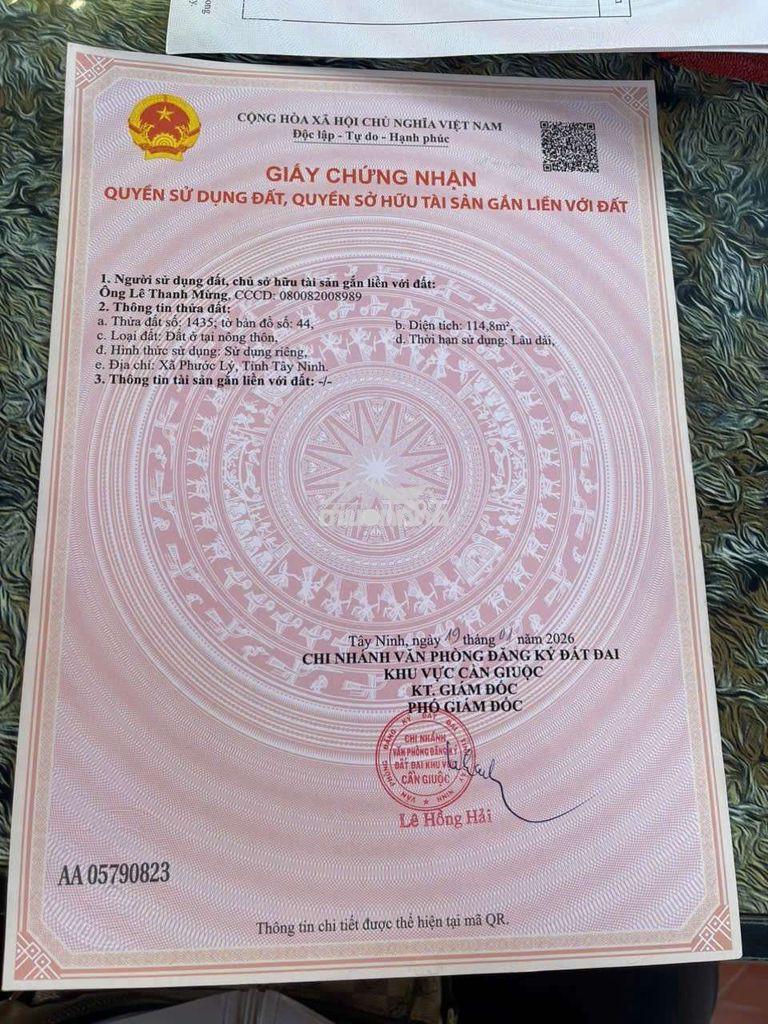 Cần ra bán nhanh đất long an - Ảnh 2