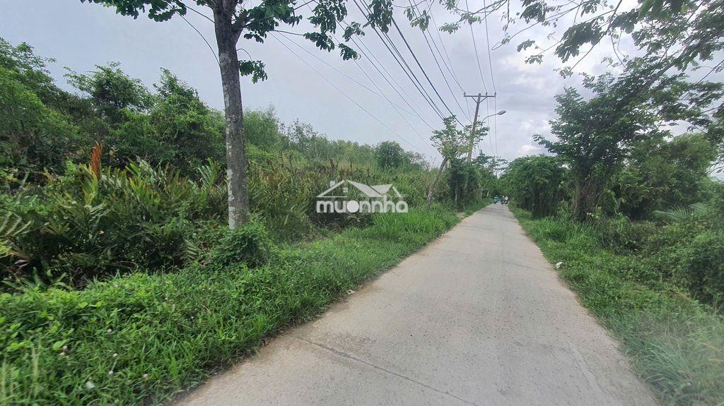 Bán 960m2 đất thổ cư mặt tiền đường liên ấp 2-3, hiệp phước, nhà bè - Ảnh 4
