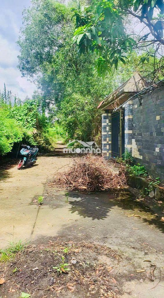 Bán gấp 540m2 đất cây lâu năm hẻm lê văn lương, nhơn đức, nbe - Ảnh 3