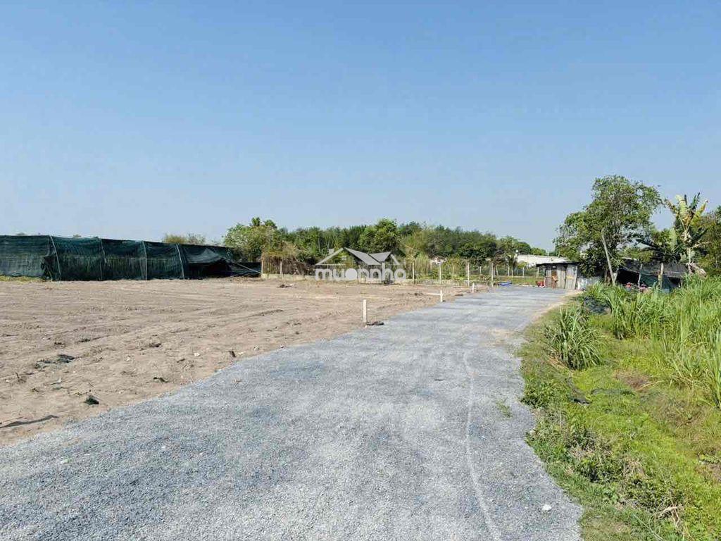 Chính chủ cần bán lô đất thổ cư gia lộc-trảng bàng sát bên ql22 - Ảnh 2