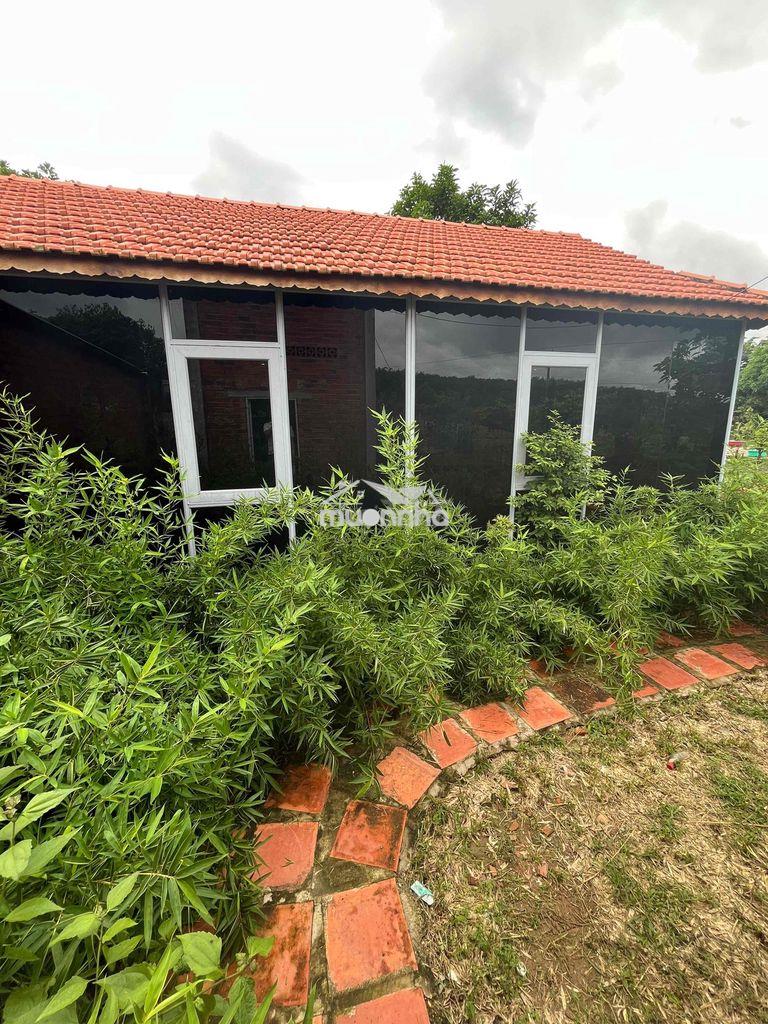 Nhà vườn 2 mặt tiền tâm huyết. - 4