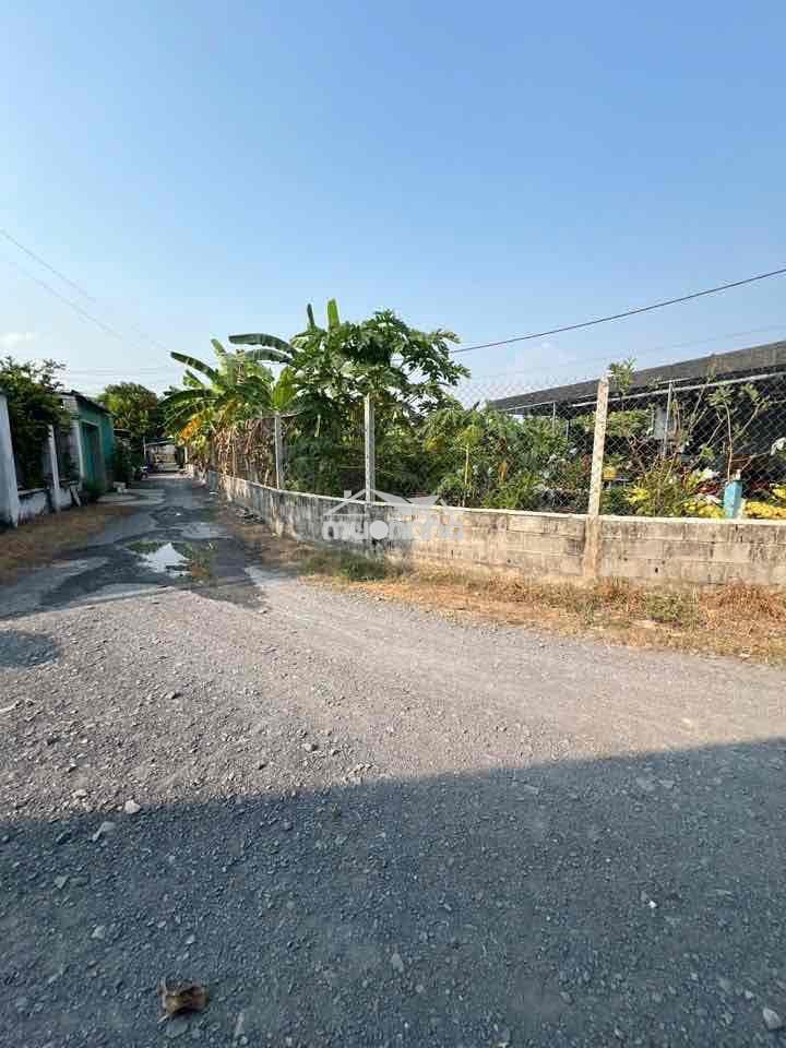 Cần bán nhà vườn tại mũi tàu tân phú trung củ chi - Ảnh 4