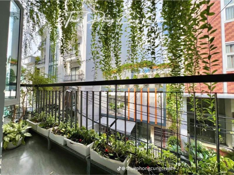 🌿 Studio cửa sổ full nội thất đường hoàng văn thụ – tân bình - Ảnh 4