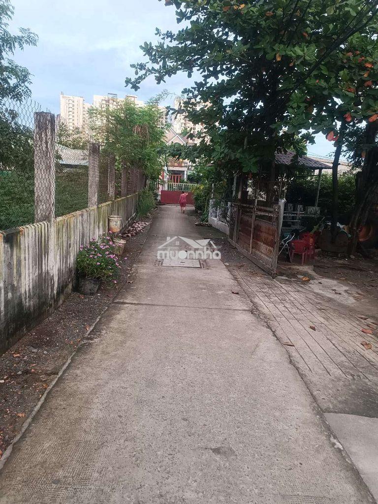 Nhà cấp 4 mới tinh ngay cầu nước lên đường võ văn kiệt dt 4 x 18 giá - Ảnh 2