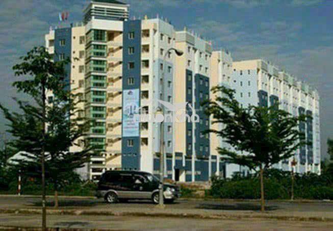 Cần cho thuê gấp căn hộ gia phú - nhận nhà ở liền - Ảnh 3