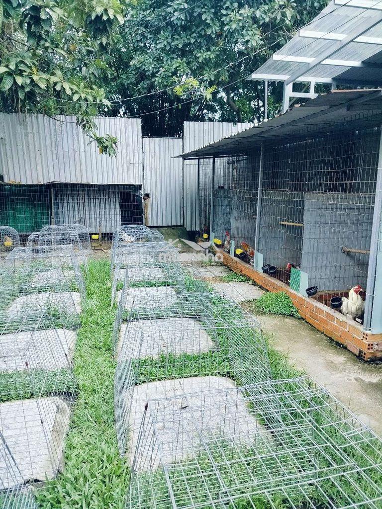 Cho thuê nhà đất - Ảnh 2