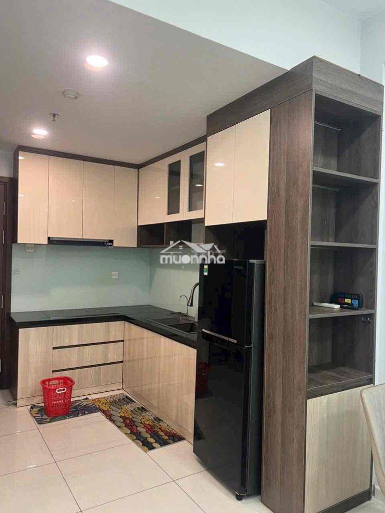 Chính chủ cần bán căn hộ picity 49m (1pn + 1wc) có sổ hồng - Ảnh 2