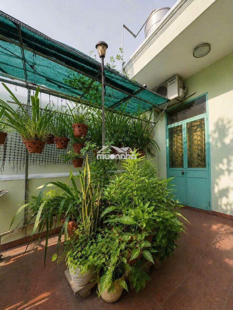 Nhà 1 đời chủ - hẻm xe tải - khu vip phú nhuận - gần sân bay, côngviên - Ảnh 4