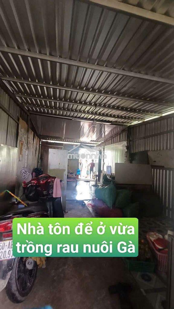 Nhà vườn trái cây 8*25 có nhà tôn đường kênh trung ương vĩnh lộc b
