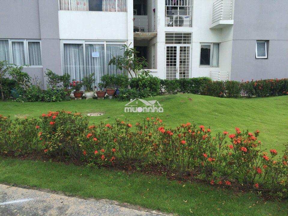 Cho thuê trệt 2pn 70m2 celadon city có sân vườn - Ảnh 3