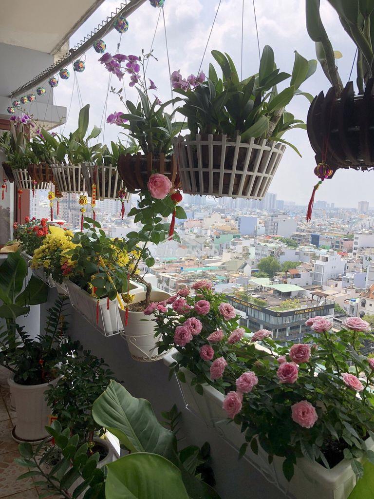Căn hộ 105m² (3pn/2wc) khang phú tân phú – tầng cao view đẹp, 13tr/th