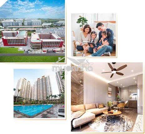 🏢 Akari city – 2pn | 1wc | 8 triệu - Ảnh 3