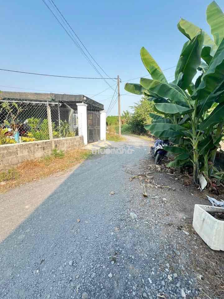 Cần bán nhà vườn tại mũi tàu tân phú trung củ chi - Ảnh 3